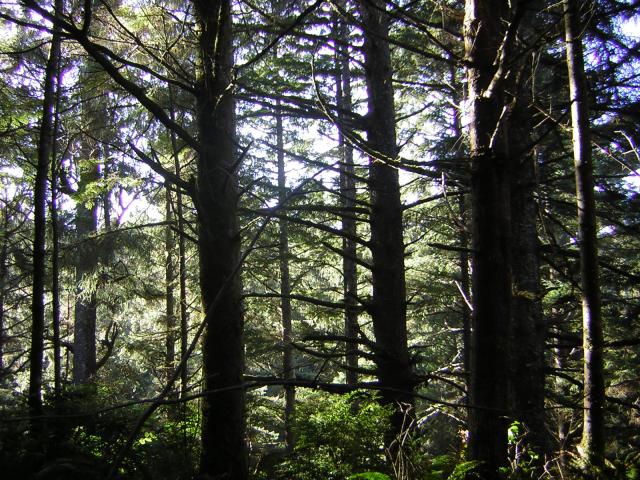 DSCN0683.jpg