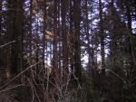 DSCN0692.jpg