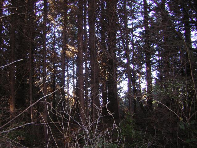 DSCN0692.jpg