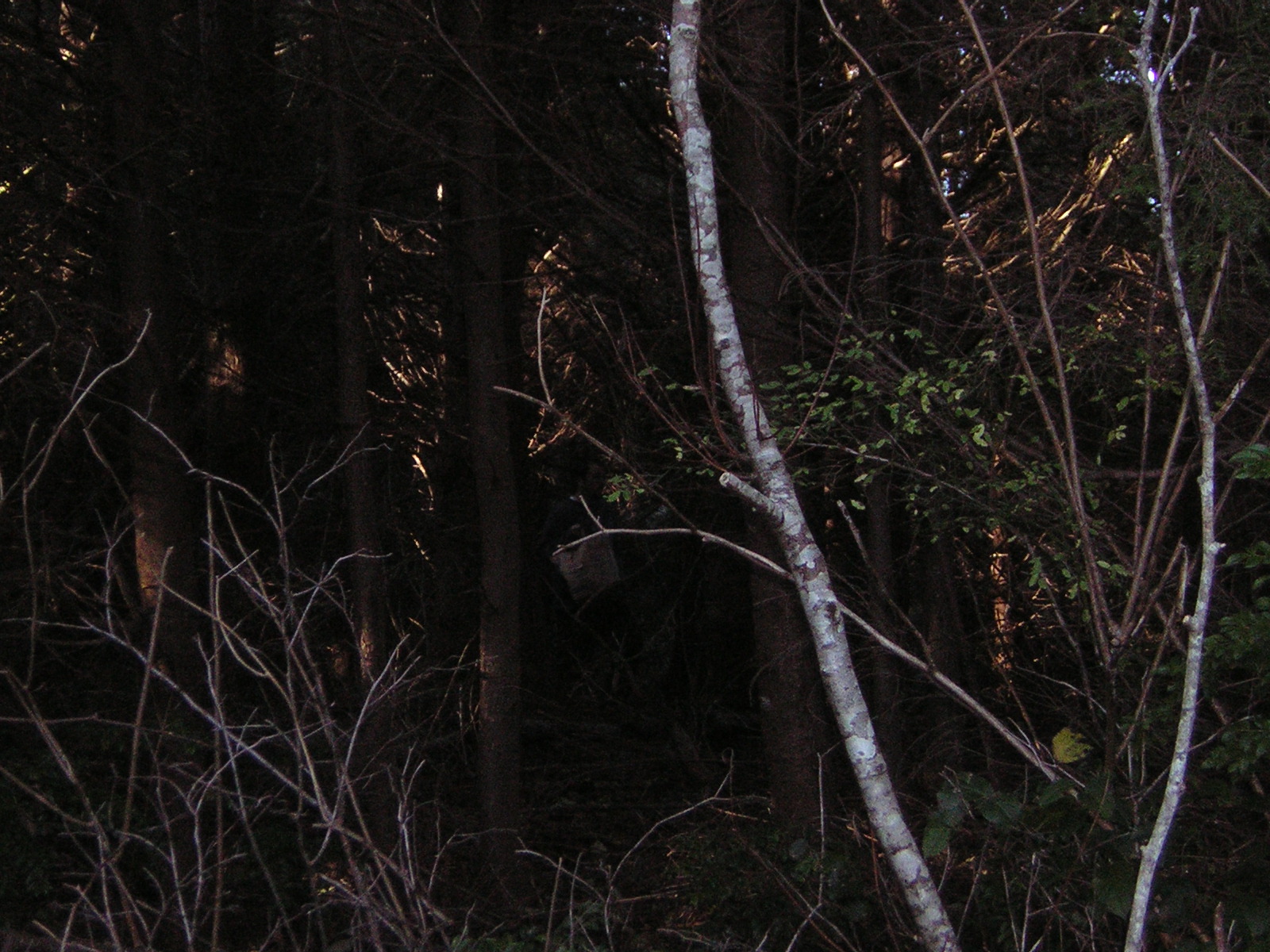 DSCN0693.jpg