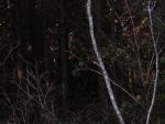 DSCN0693.jpg