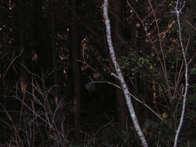 DSCN0693.jpg