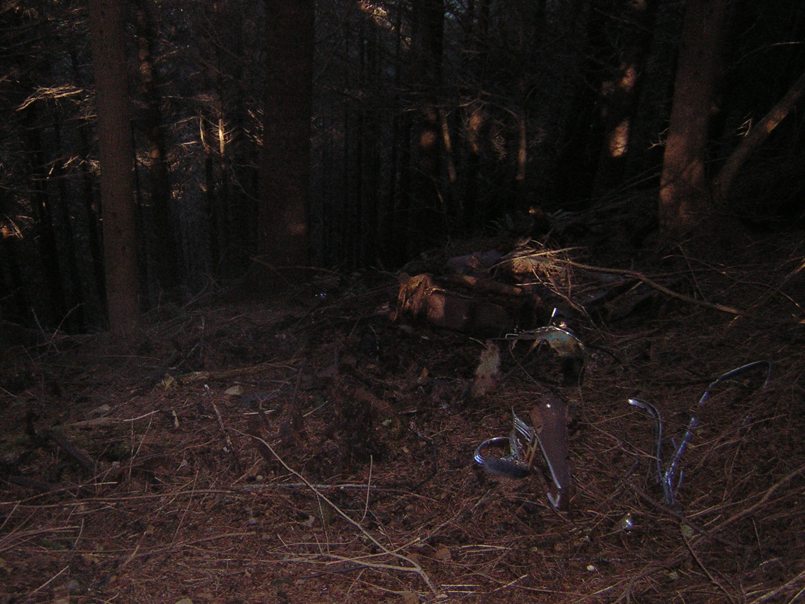 DSCN0695.jpg
