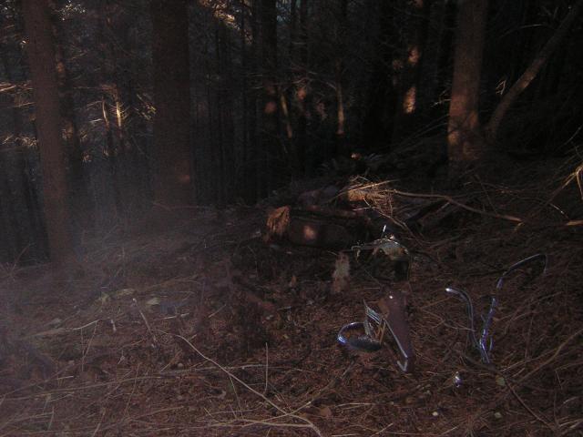 DSCN0696.jpg