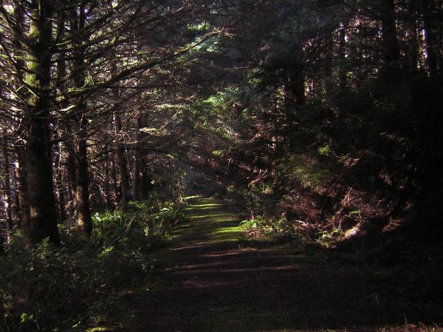 DSCN0697.jpg