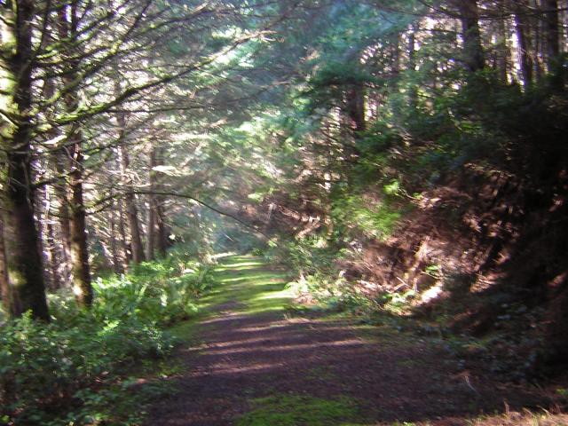 DSCN0698.jpg