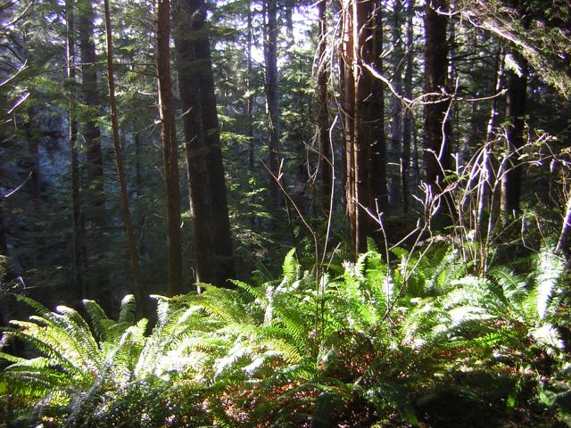DSCN0699.jpg
