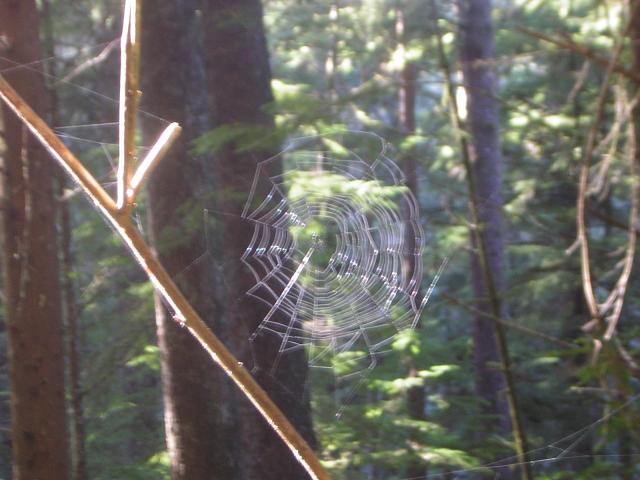 DSCN0700.jpg