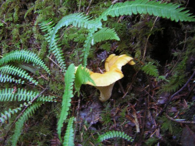 DSCN0701.jpg