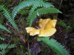 DSCN0703.jpg