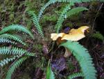 DSCN0705.jpg