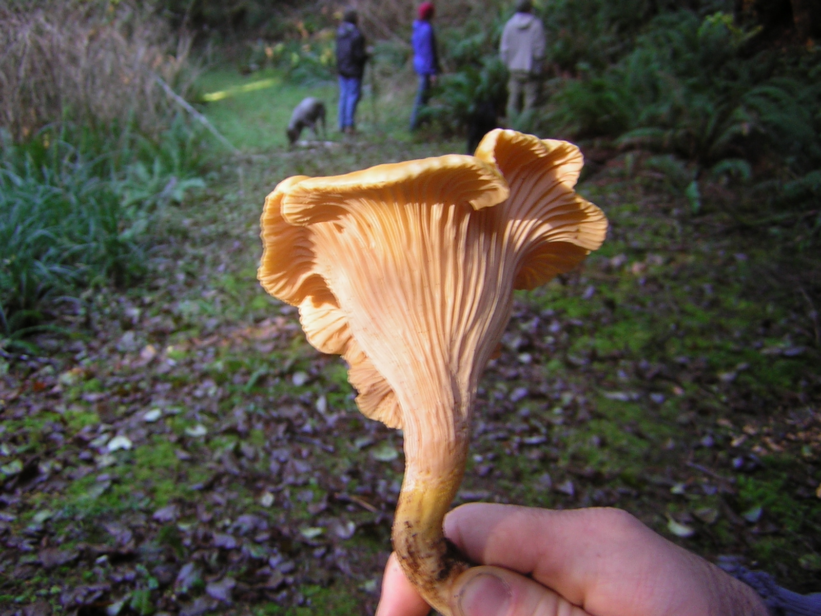 DSCN0706.jpg