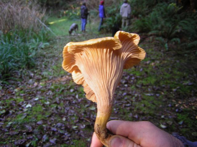 DSCN0706.jpg
