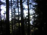 DSCN0707.jpg