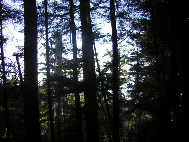 DSCN0707.jpg