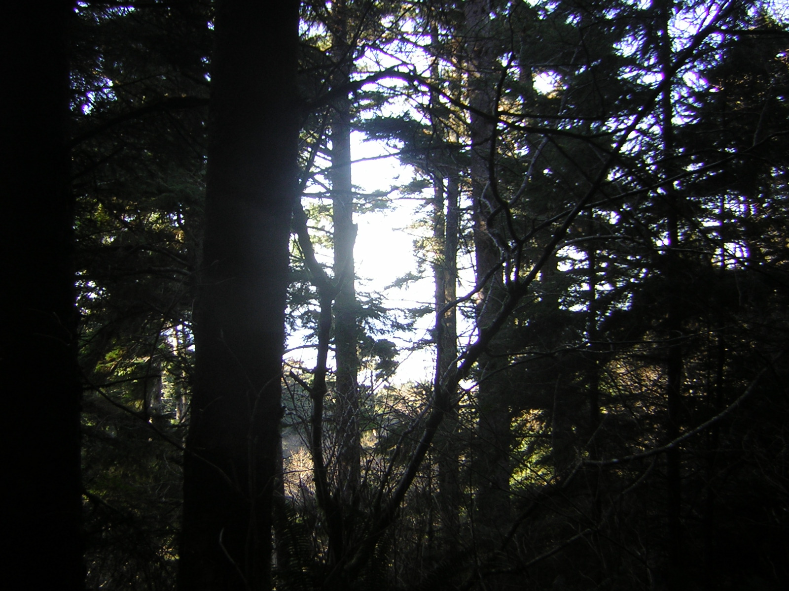 DSCN0708.jpg