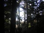 DSCN0708.jpg