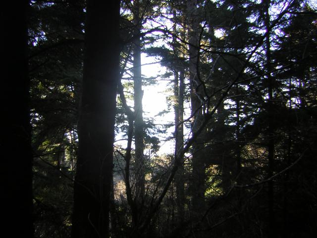 DSCN0708.jpg