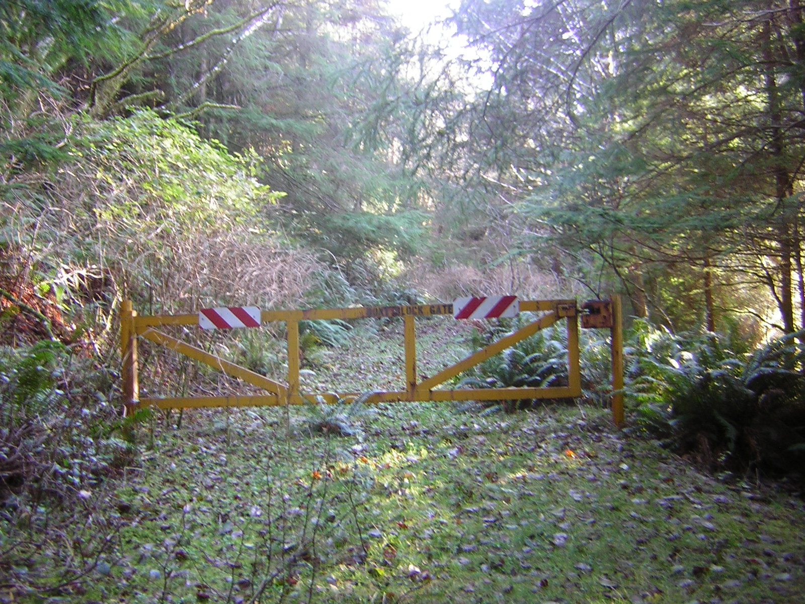 DSCN0710.jpg