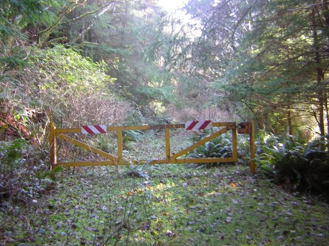 DSCN0710.jpg