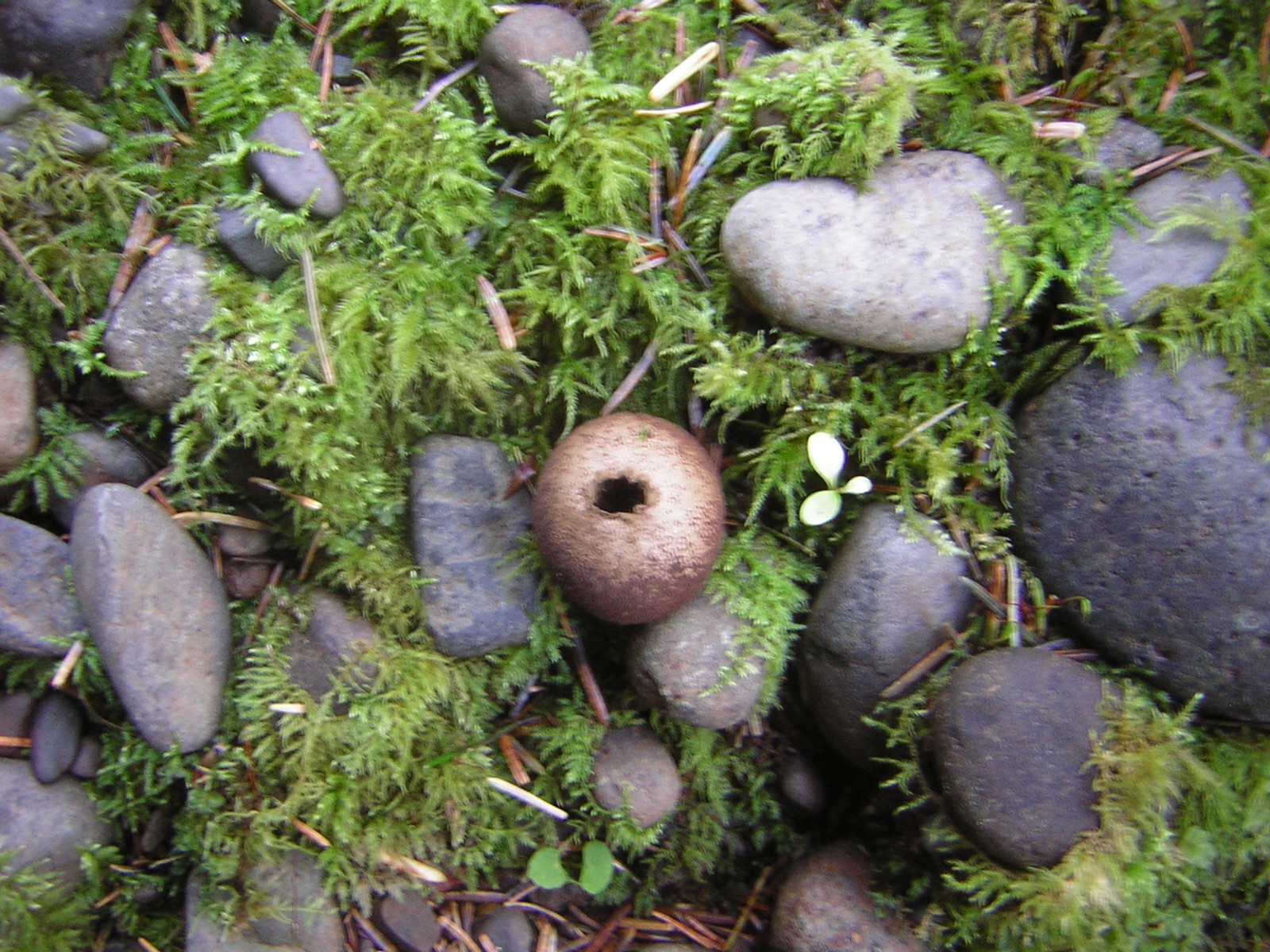 DSCN0712.jpg