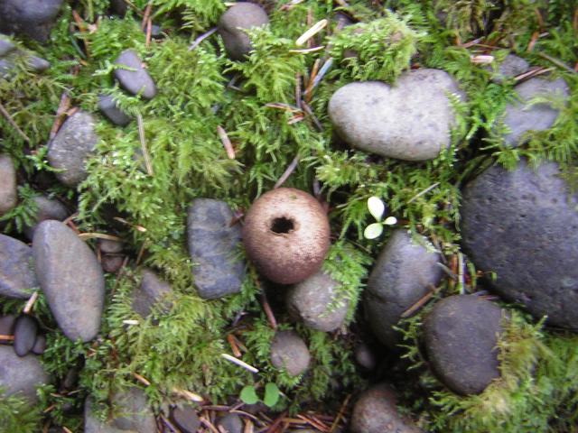 DSCN0712.jpg