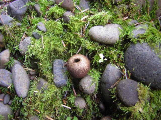 DSCN0714.jpg