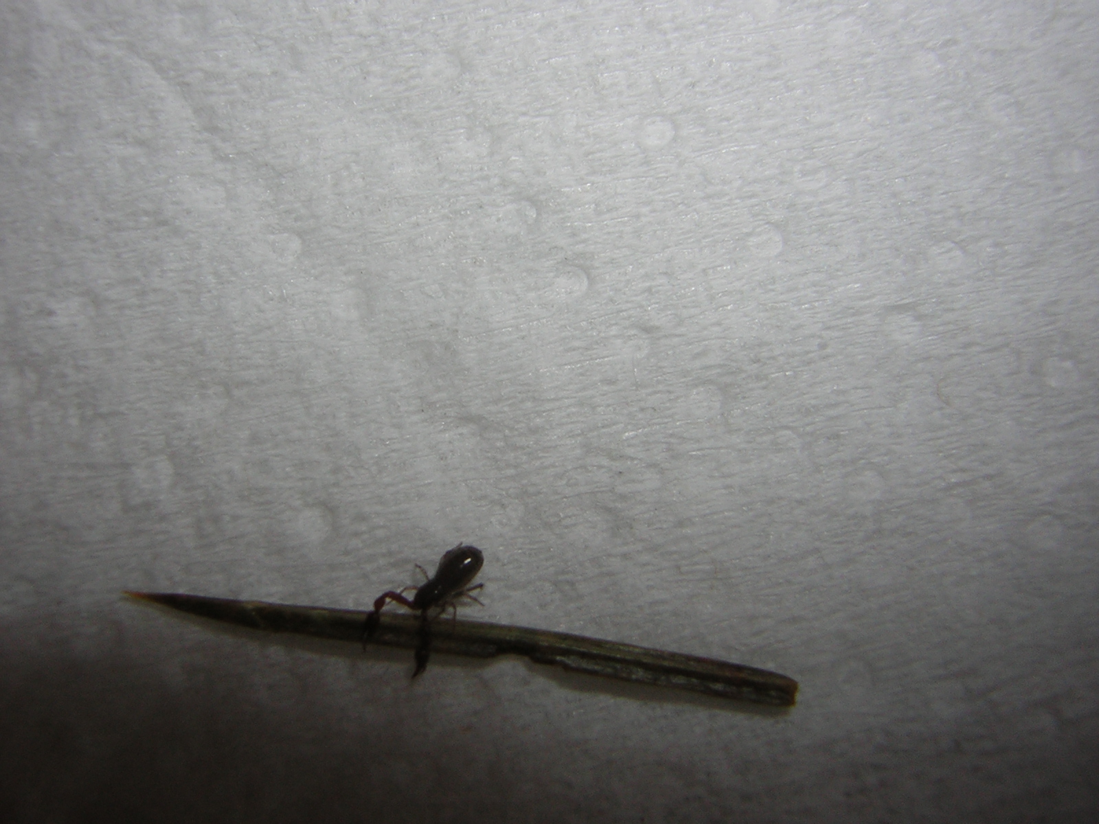 DSCN0726.jpg