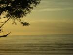 DSCN0730.jpg
