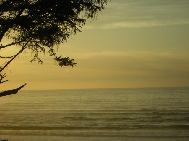 DSCN0730.jpg