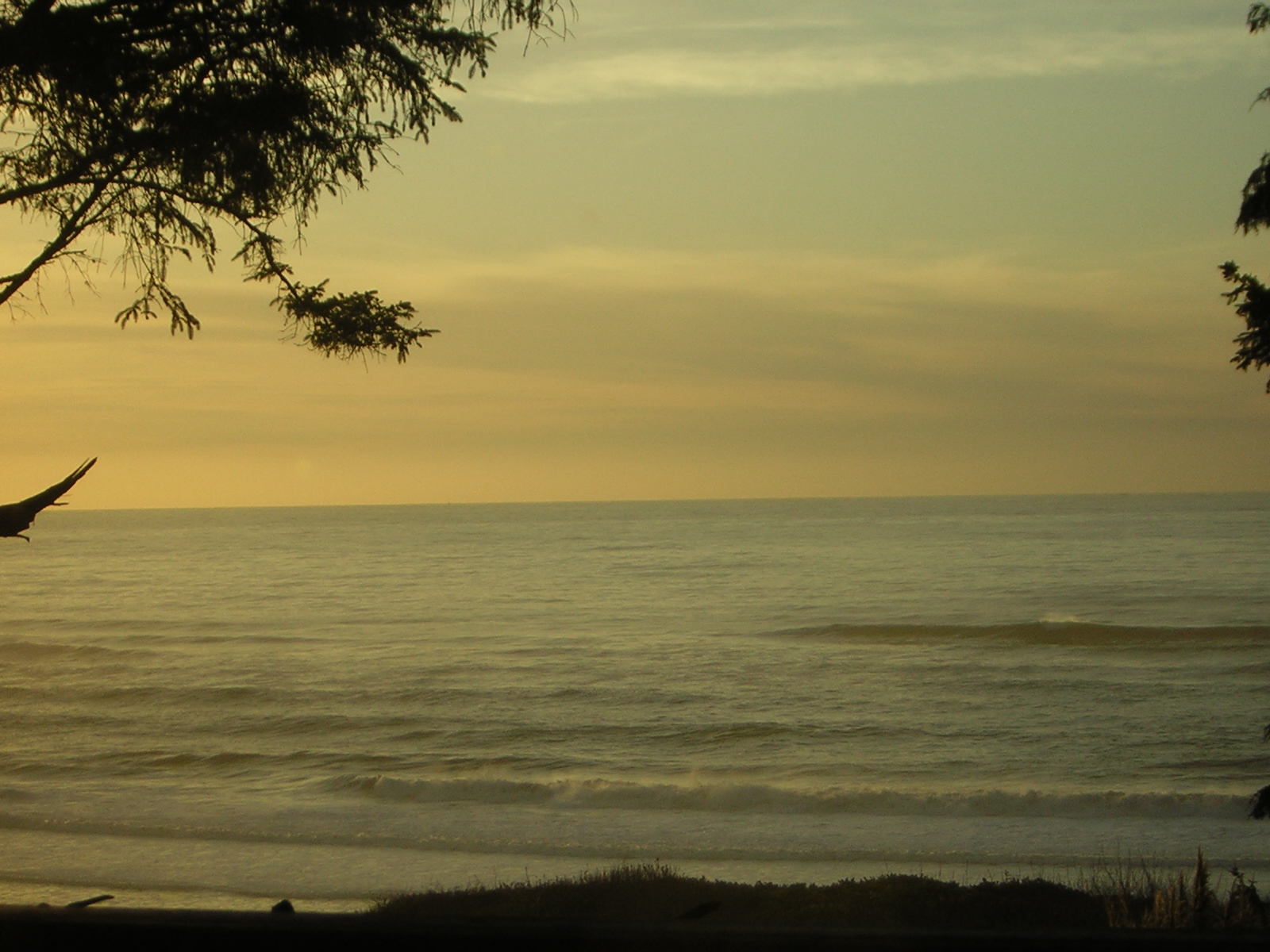 DSCN0731.jpg