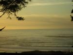 DSCN0731.jpg