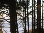 DSCN0732.jpg