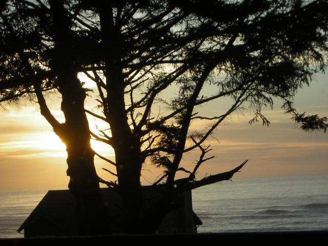 DSCN0733.jpg