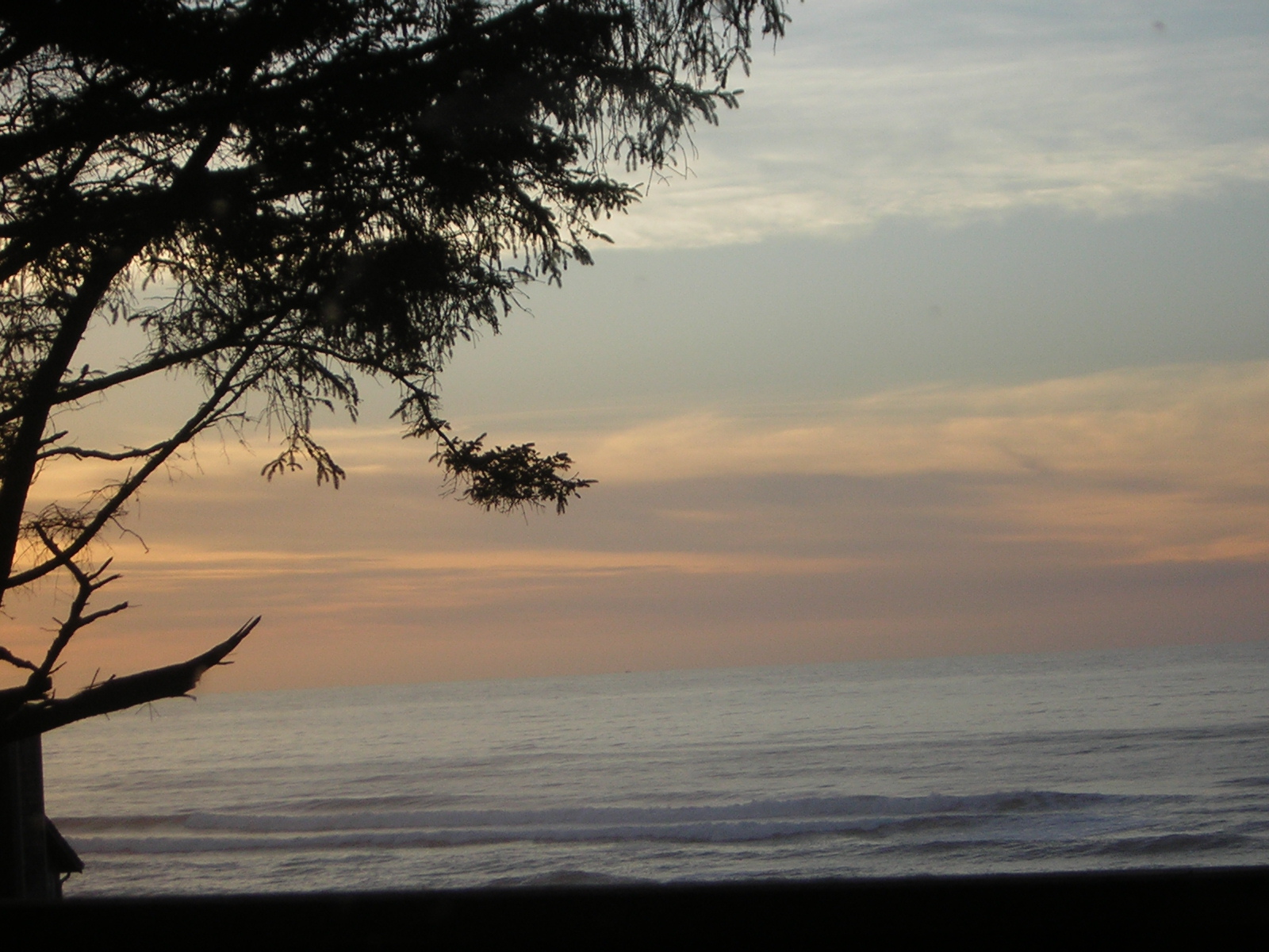 DSCN0734.jpg