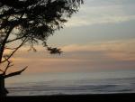 DSCN0734.jpg