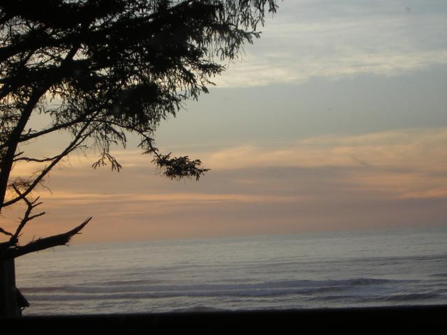 DSCN0734.jpg