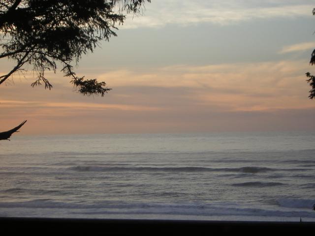 DSCN0735.jpg