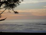 DSCN0736.jpg