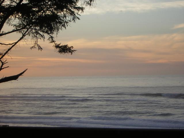 DSCN0736.jpg