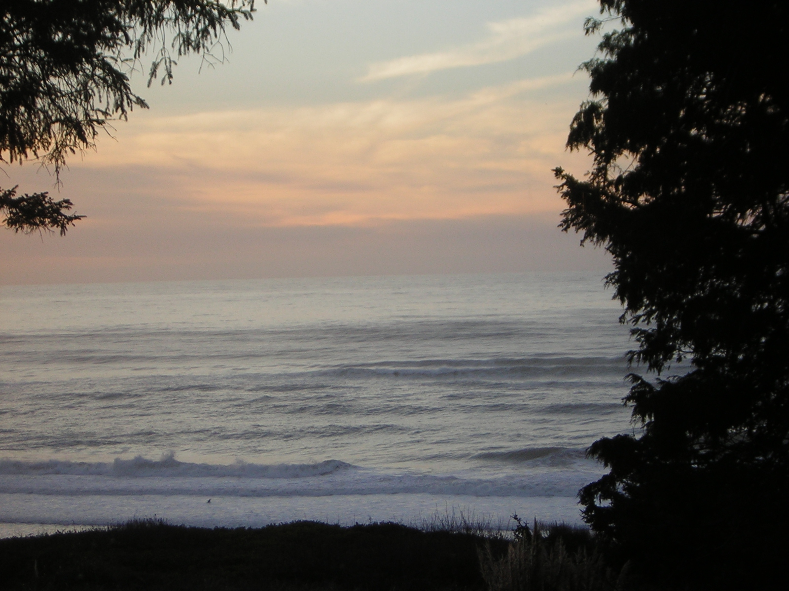 DSCN0737.jpg