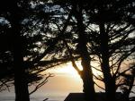 DSCN0738.jpg
