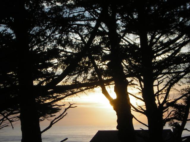 DSCN0738.jpg