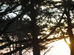 DSCN0739.jpg