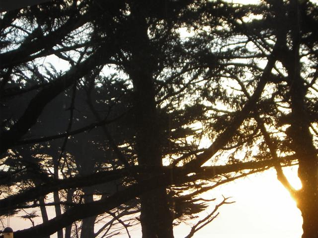 DSCN0739.jpg