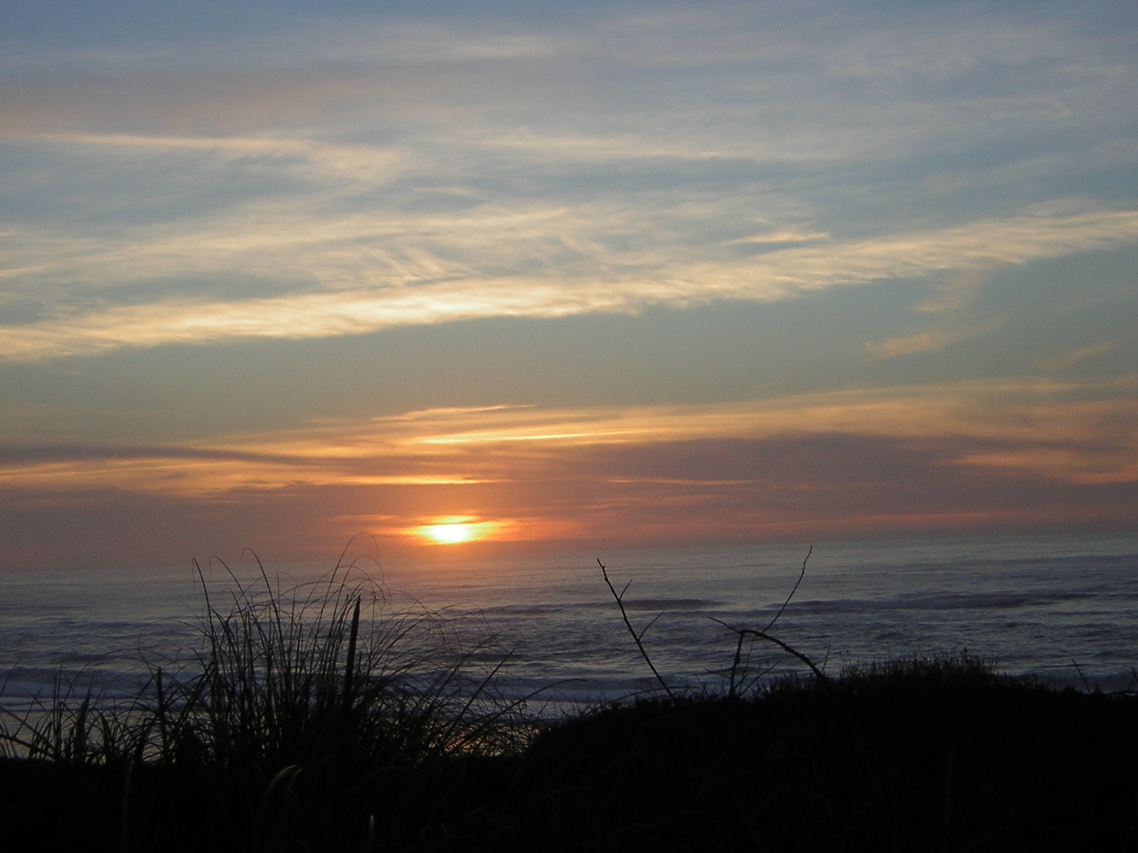 DSCN0740.jpg