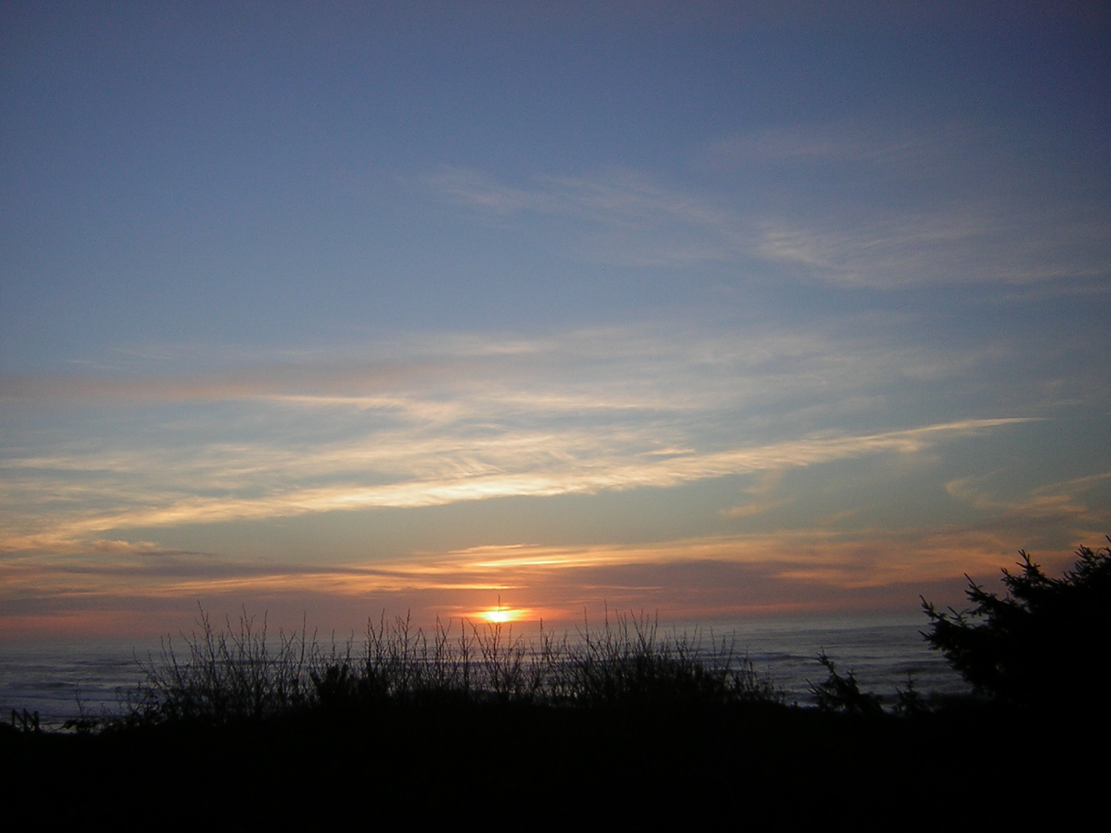 DSCN0741.jpg