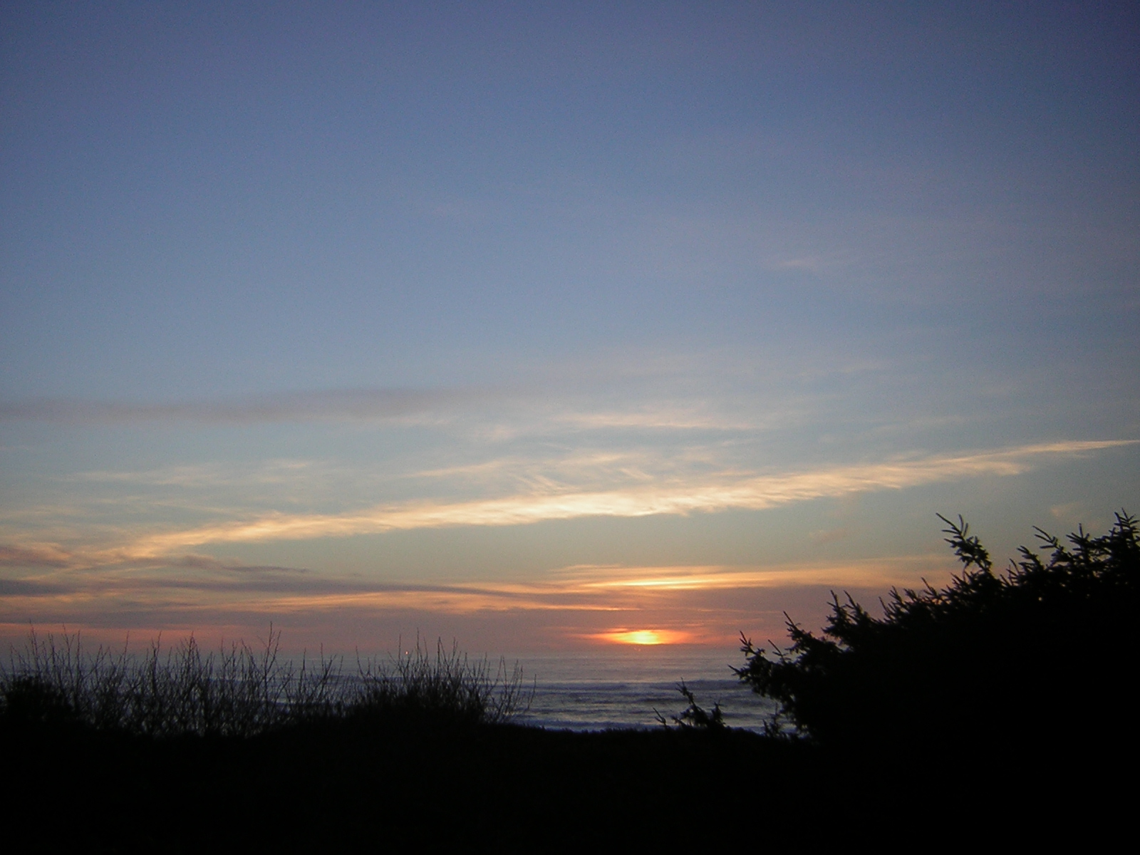 DSCN0742.jpg