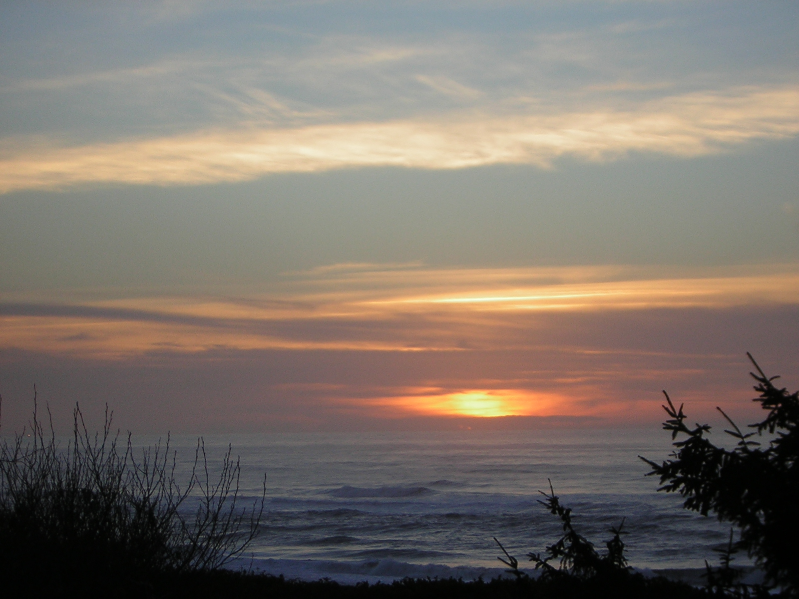 DSCN0743.jpg