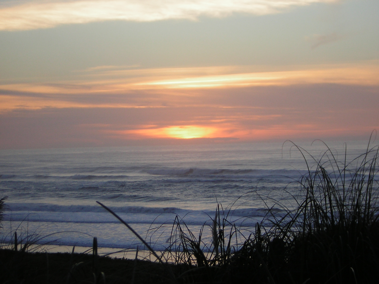 DSCN0745.jpg